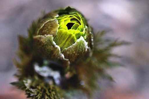 2月17日の写真
