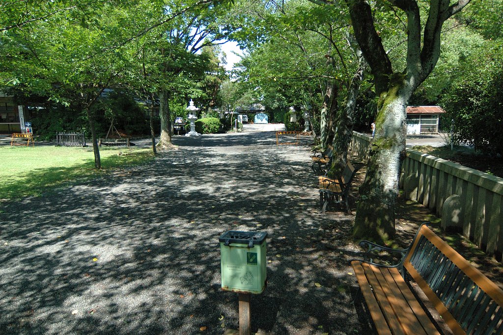 久々の