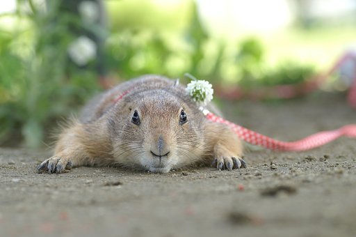 これで最後です！