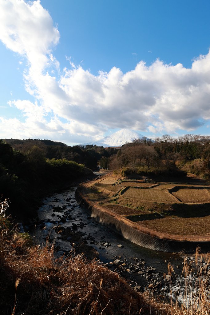 小山町馬伏川２０１７