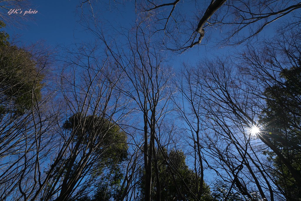 Vario Sonner 16-35mm F2.8ZAⅡ