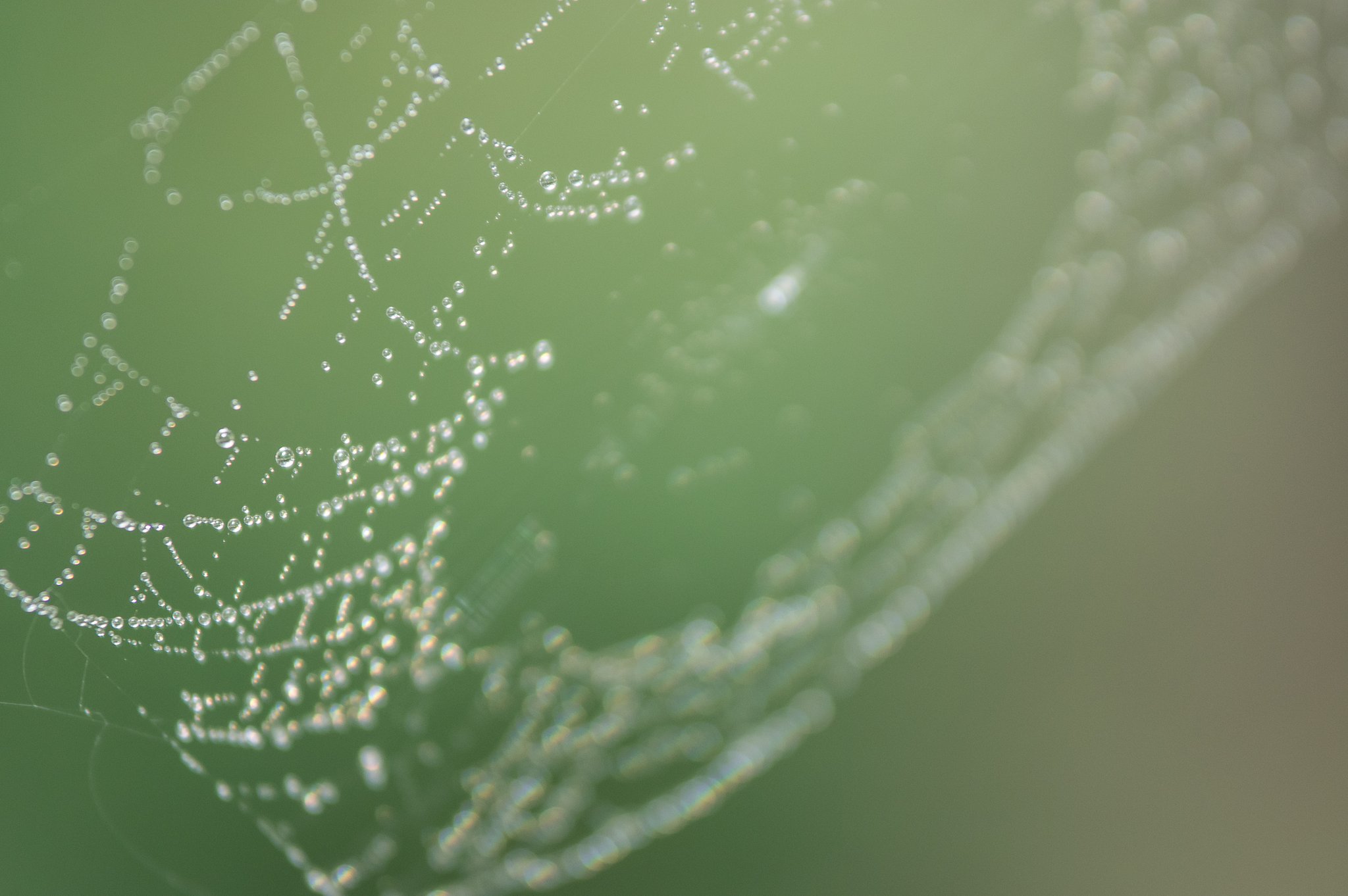雨粒の宇宙