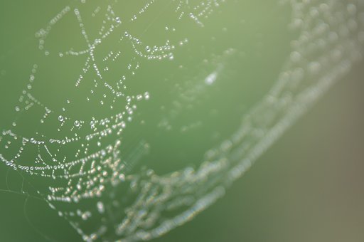 雨粒の宇宙