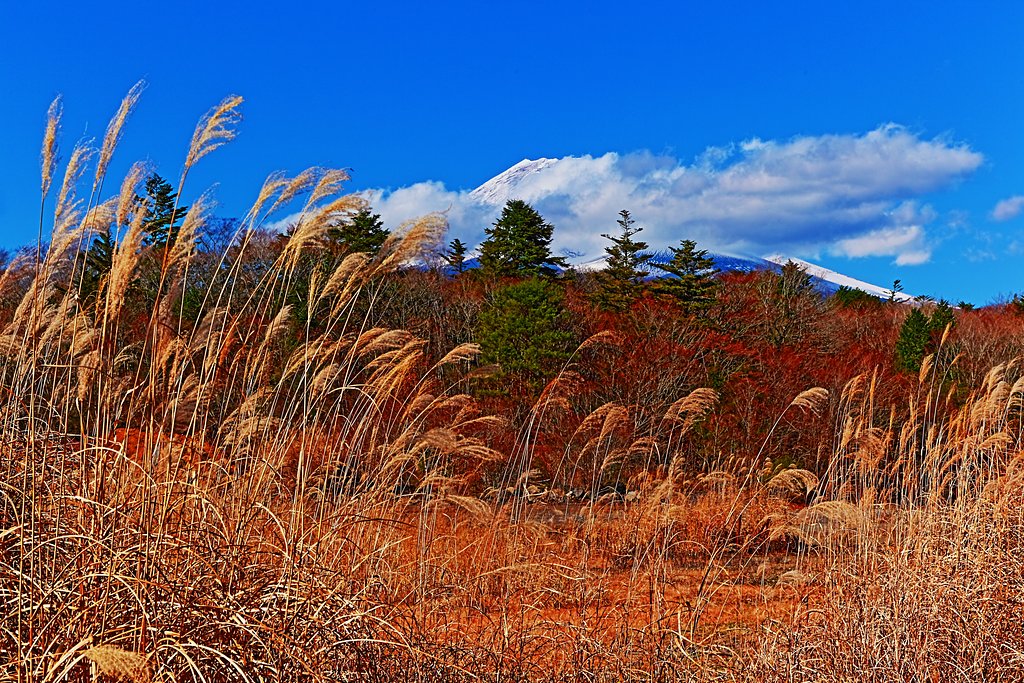 富士山秋模様