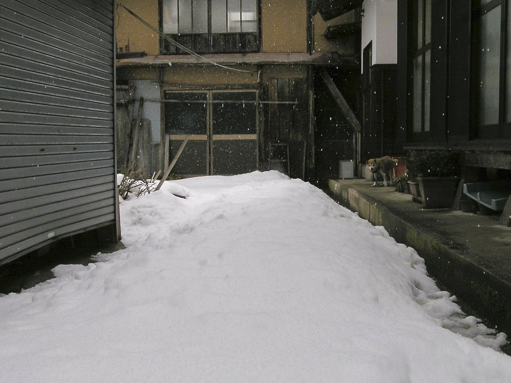雪降り！