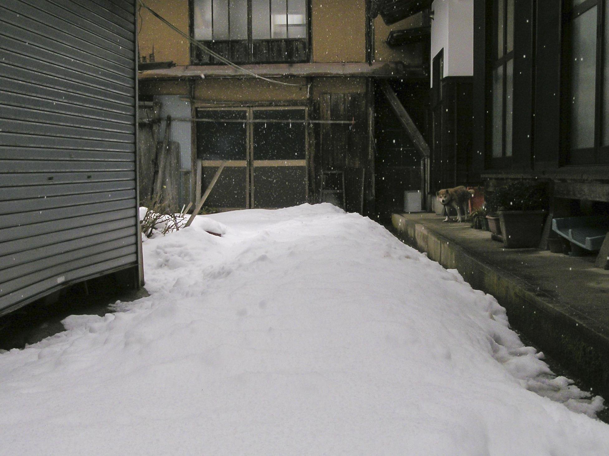 雪降り！