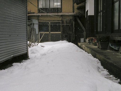 雪降り！