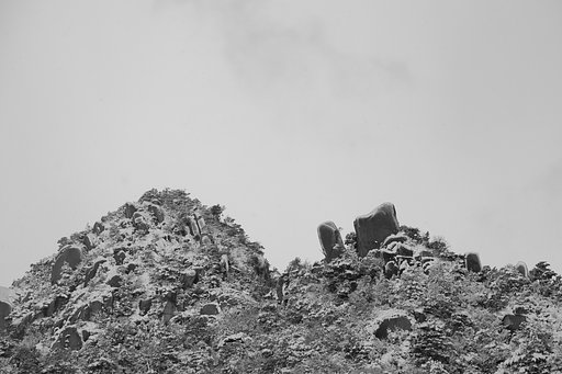 雪