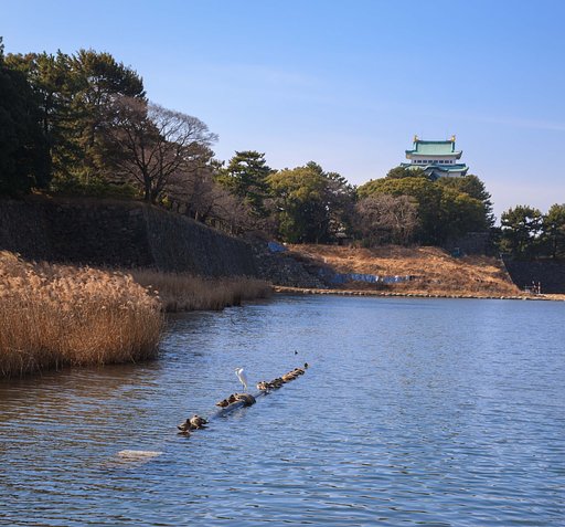 名古屋のお城にご挨拶Ⅱ