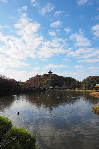 晩秋の三溪園