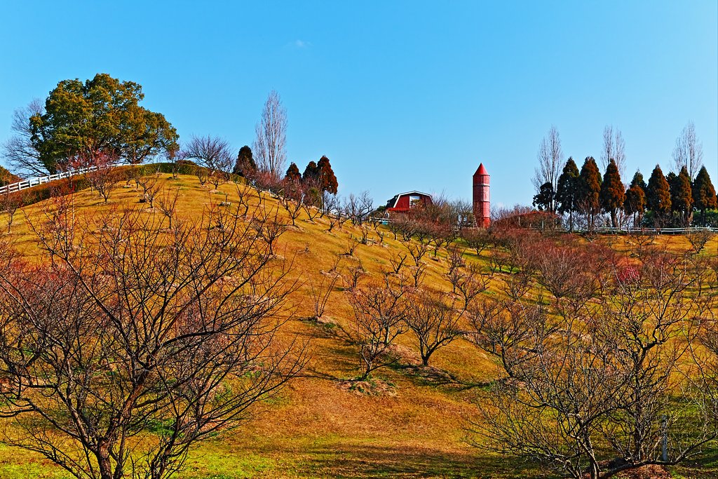 そして神戸ＨＤＲ