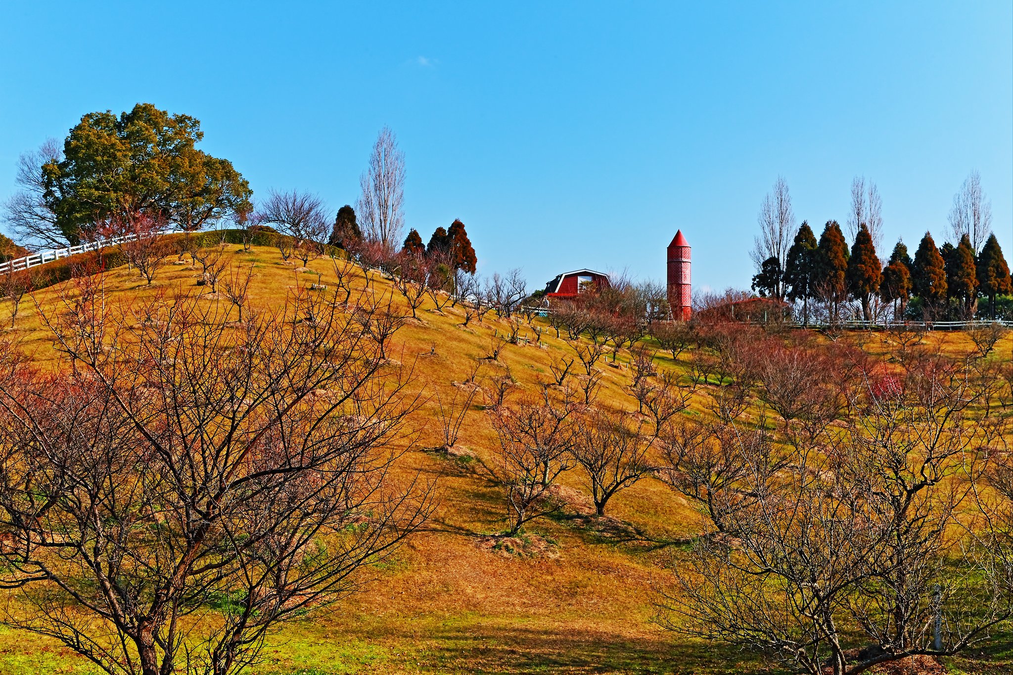 そして神戸ＨＤＲ