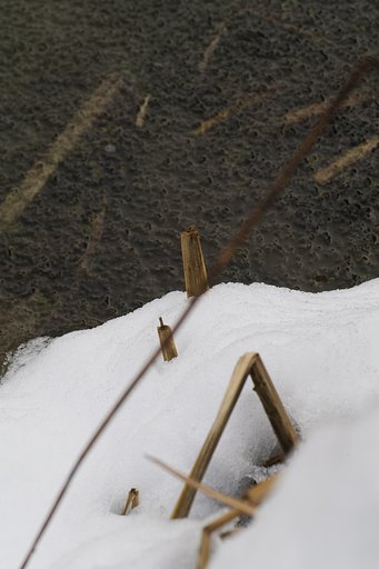 暑さにも、寒さにも、、、、、