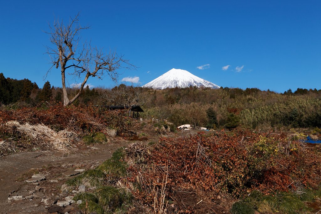 残念な富士景