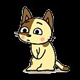 ねこ