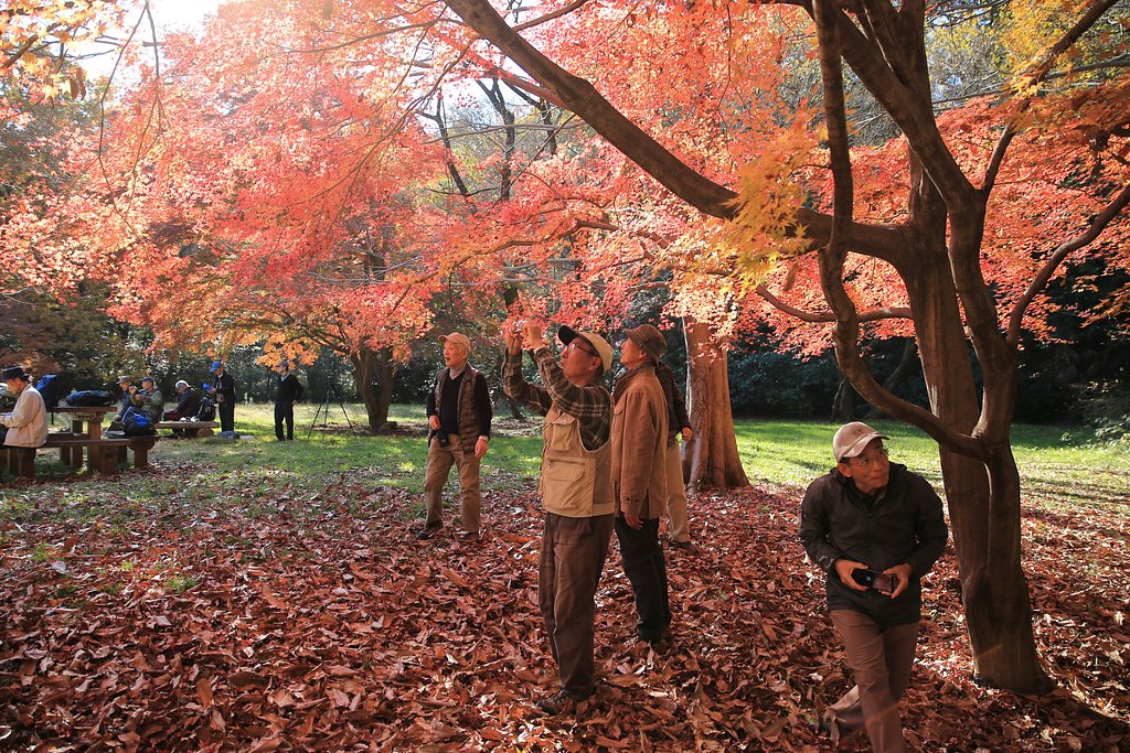 紅い光に包まれて