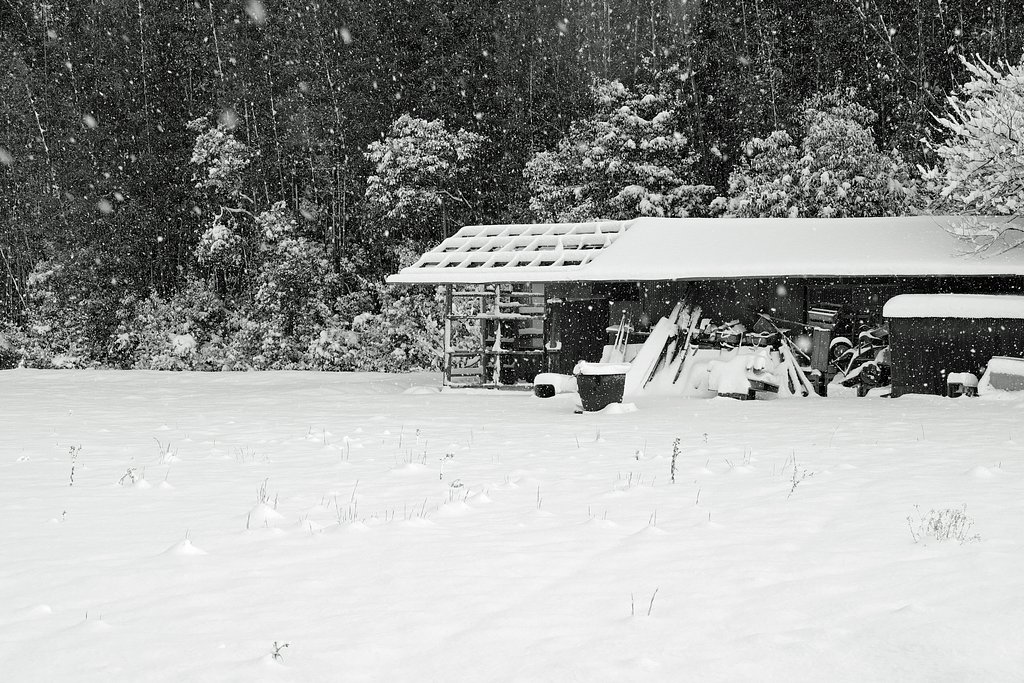 雪