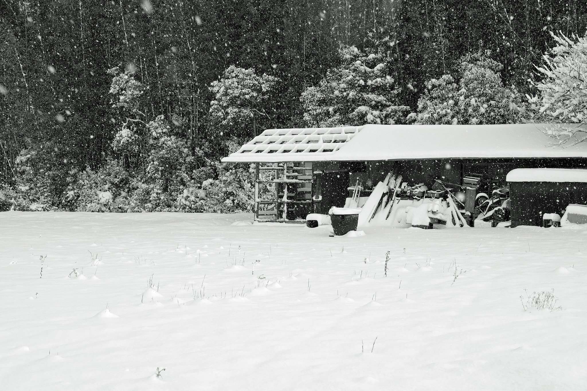 雪