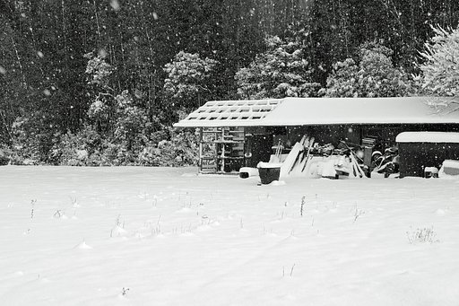 雪