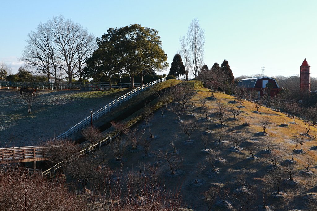 明石石ケ谷公園の朝