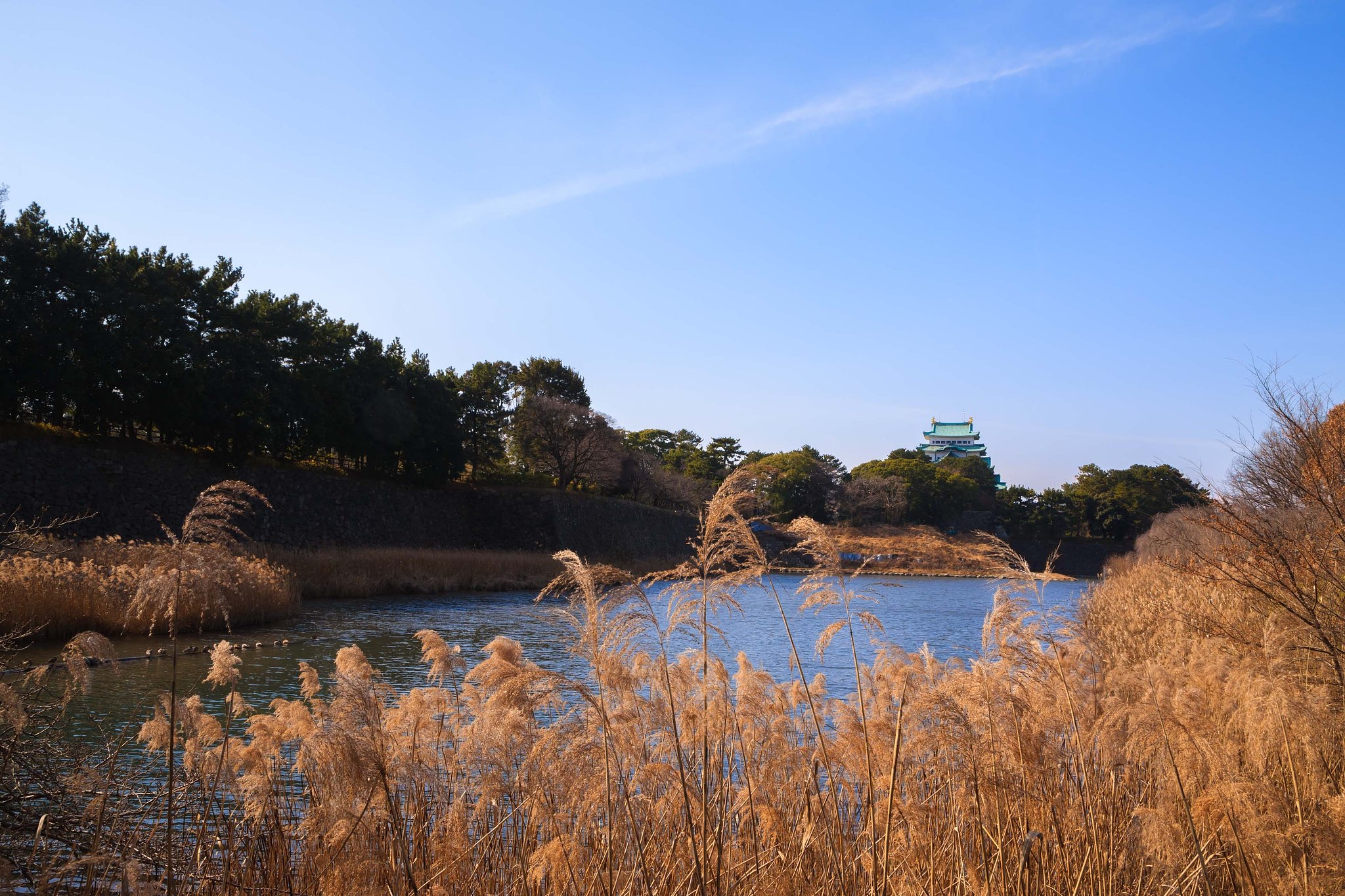 名古屋のお城にご挨拶
