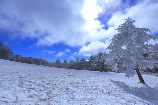 氷点下6℃ －Ⅱ