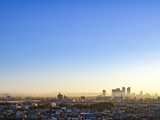 ２０１７年１月２５日朝