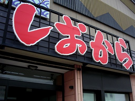 ズドンとしおから