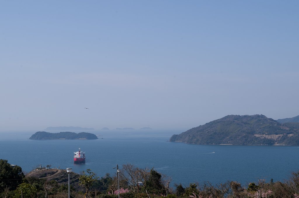 島の沖