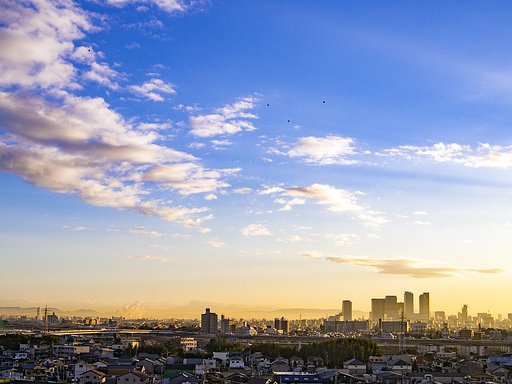 ２０１７年１月２４日朝