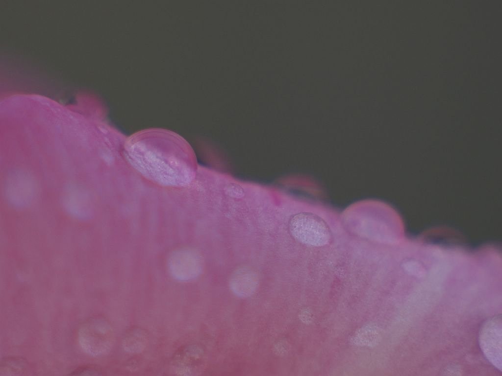 水滴