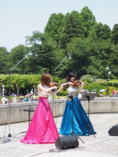 二輪の花