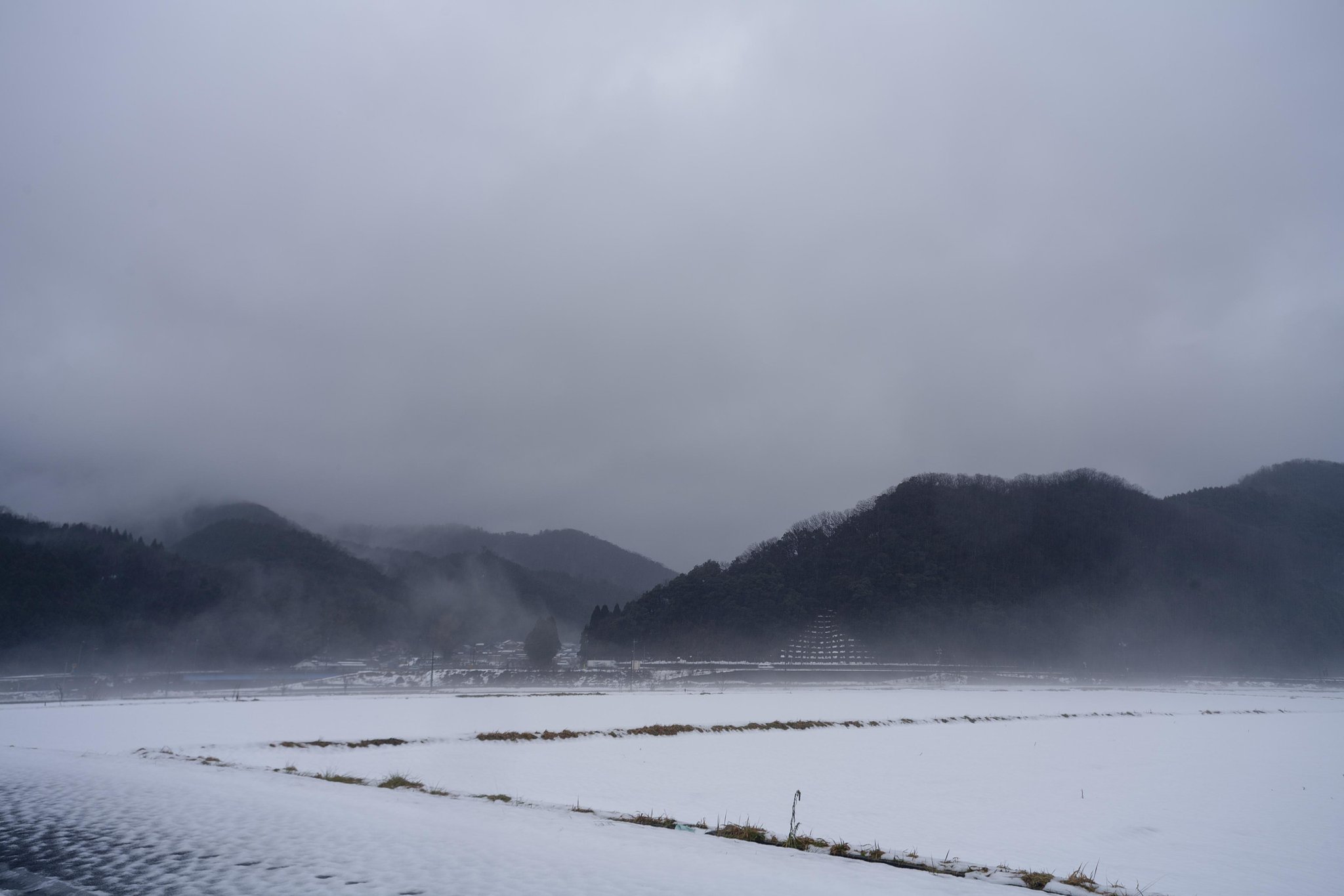 雨降りに！