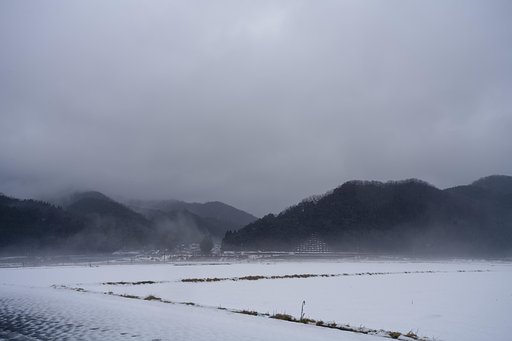 雨降りに！