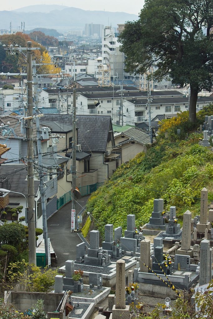 【寺社百景】山寺のお墓模様