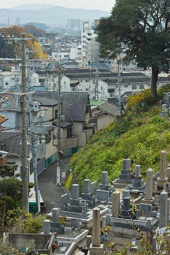 【寺社百景】山寺のお墓模様
