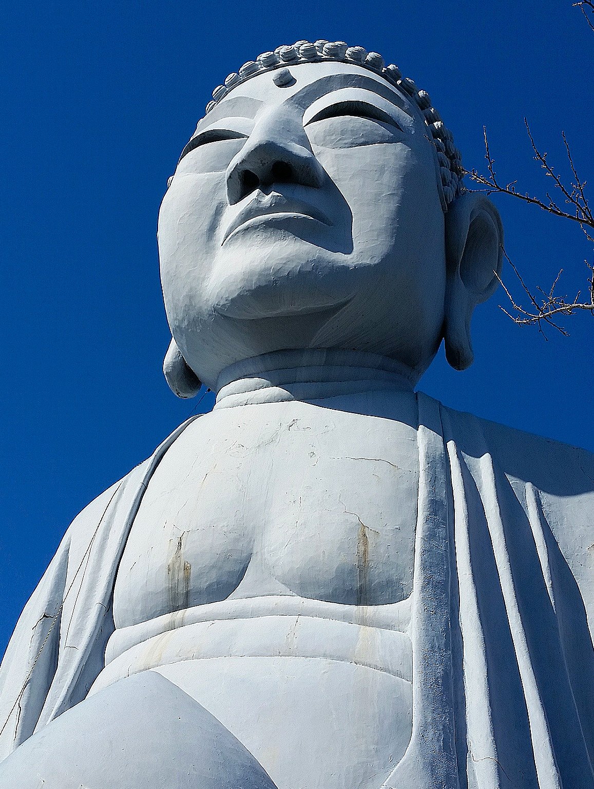 布袋大仏
