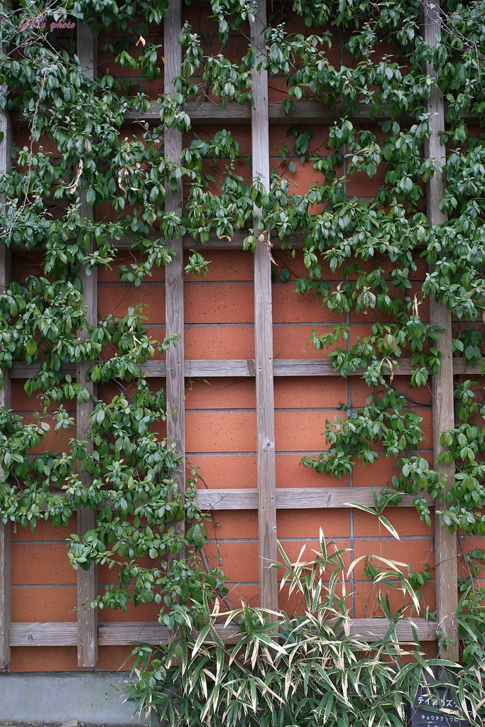Otus 28mm F1.4 ZF2