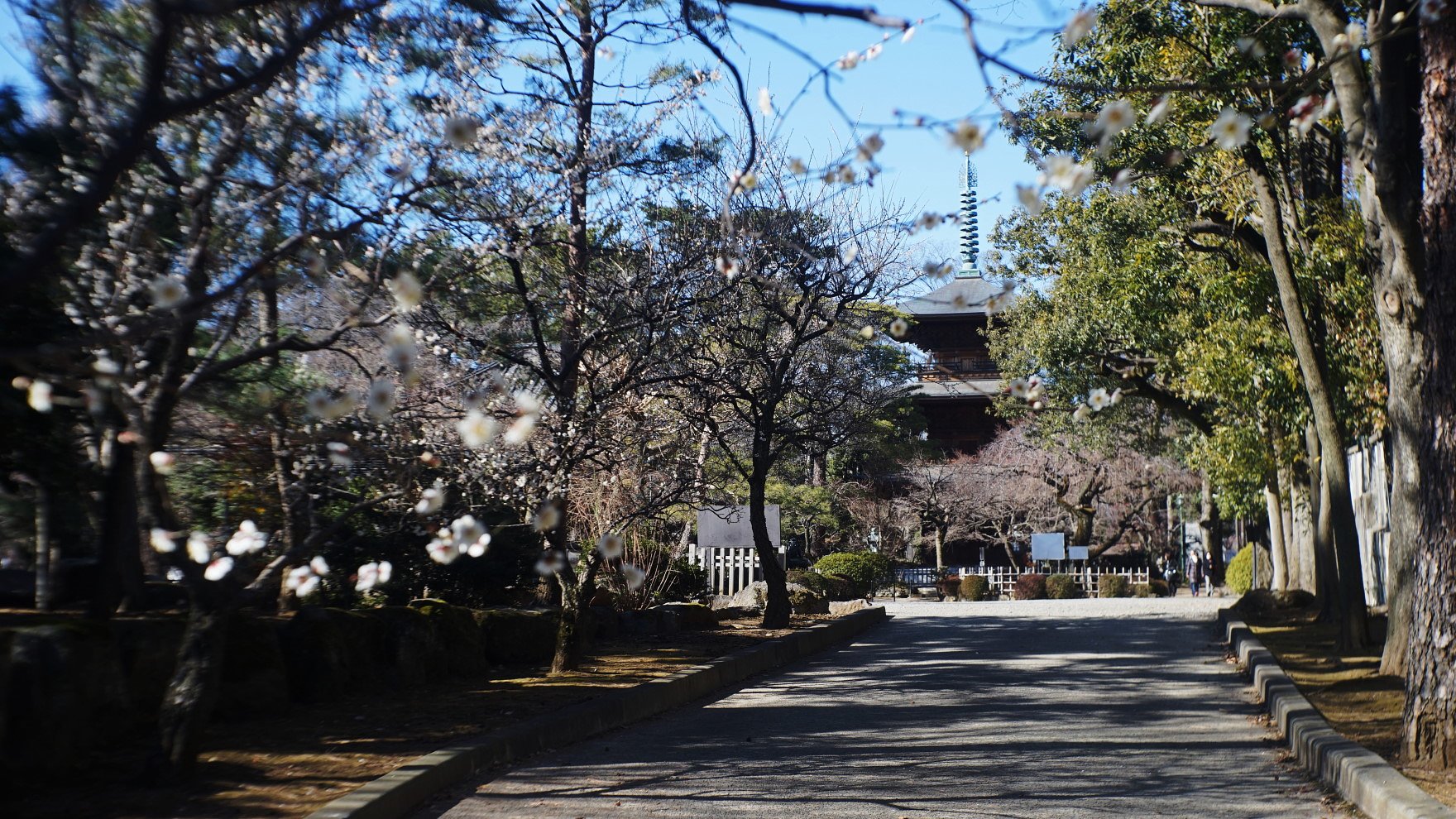 無限に苦しむ