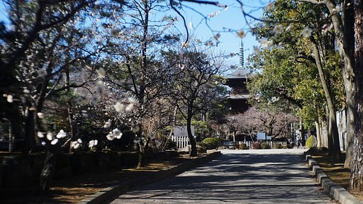 無限に苦しむ
