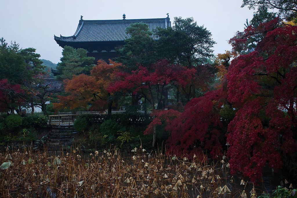 【寺社百景】 萬福寺