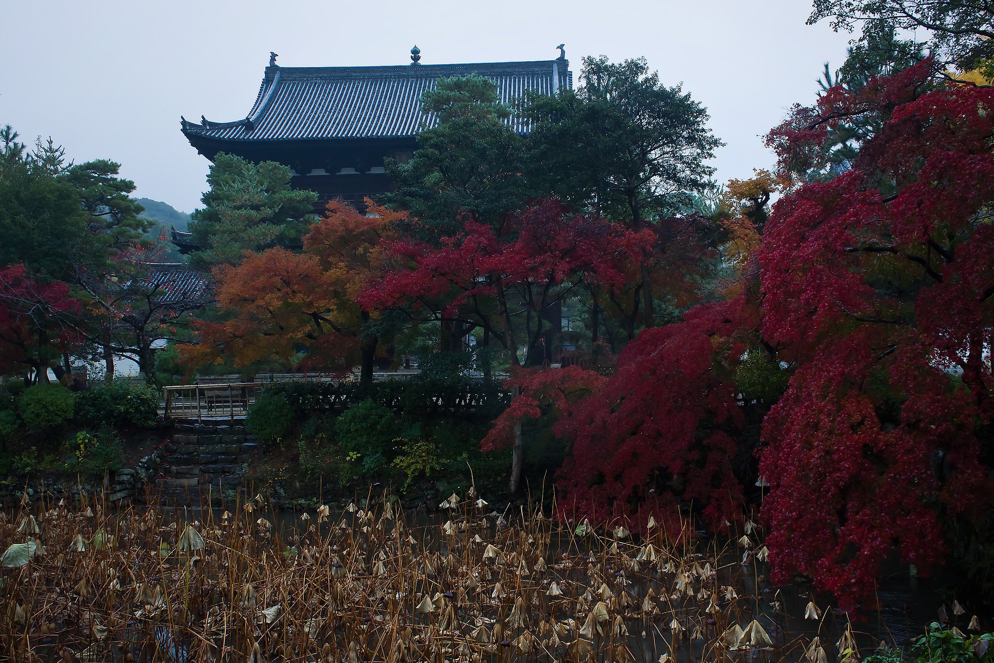 【寺社百景】 萬福寺