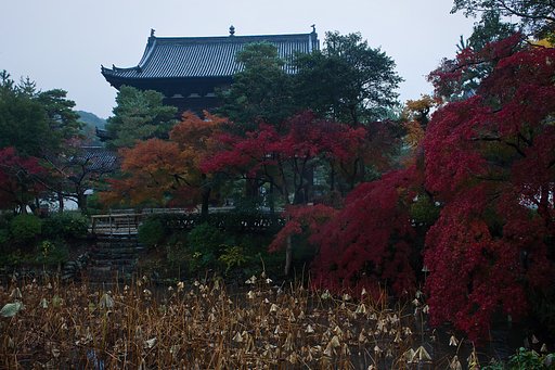【寺社百景】 萬福寺