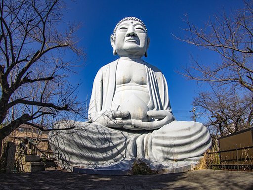 【寺社百景】布袋の大仏