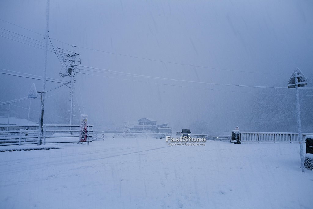 深々と雪が降る！