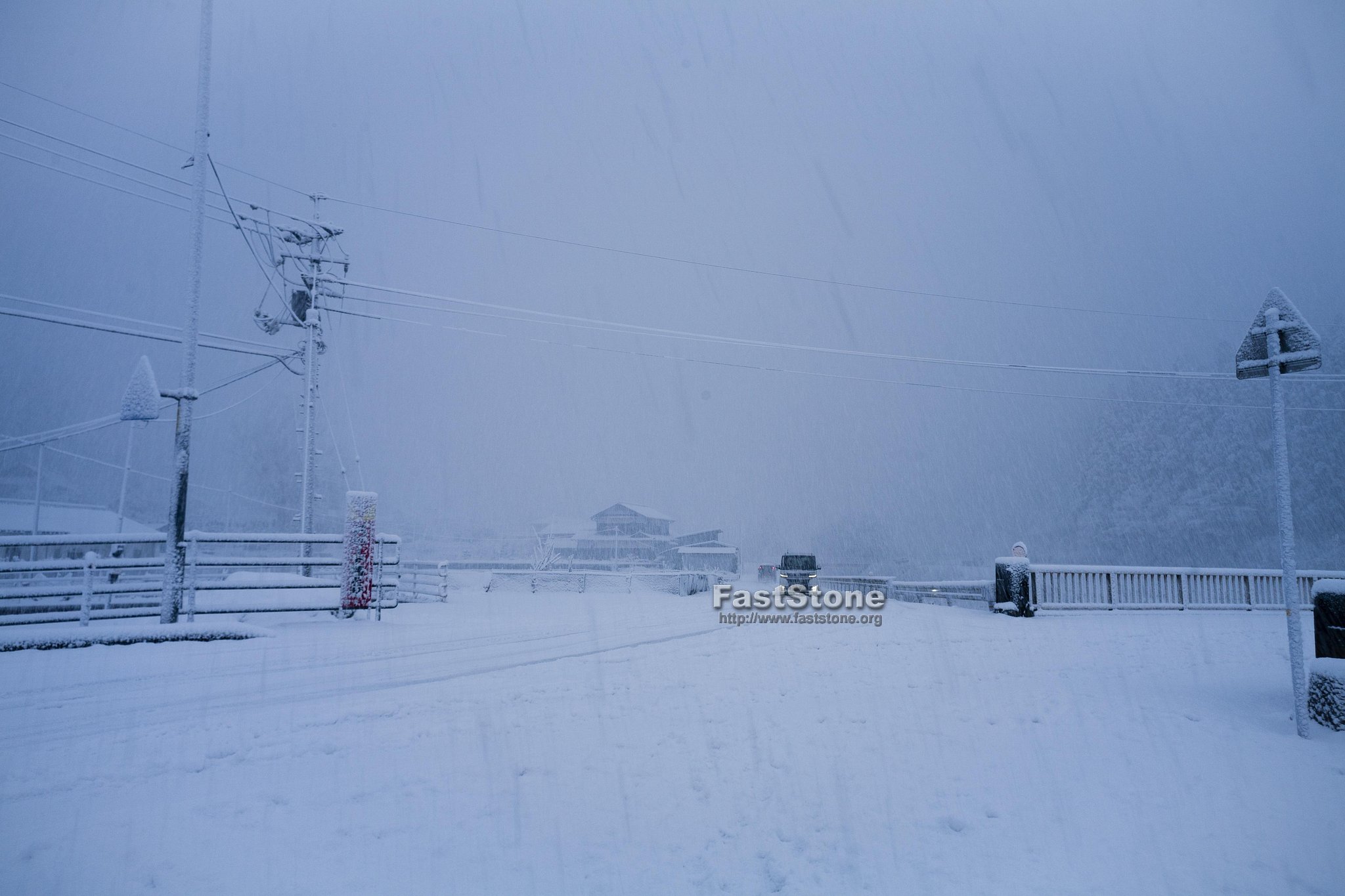 深々と雪が降る！
