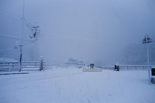 深々と雪が降る！
