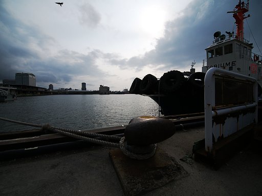 港の慕情？