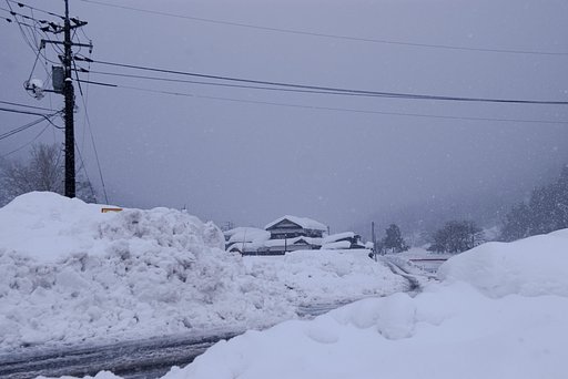 今日も雪！