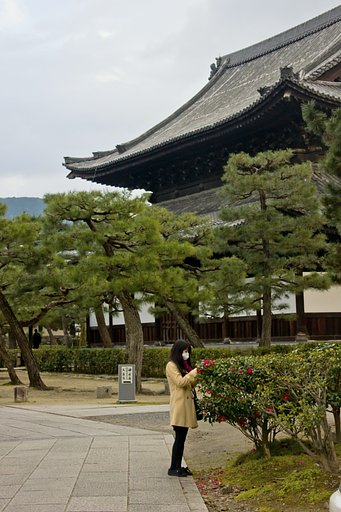 【寺社百景】 建仁寺 